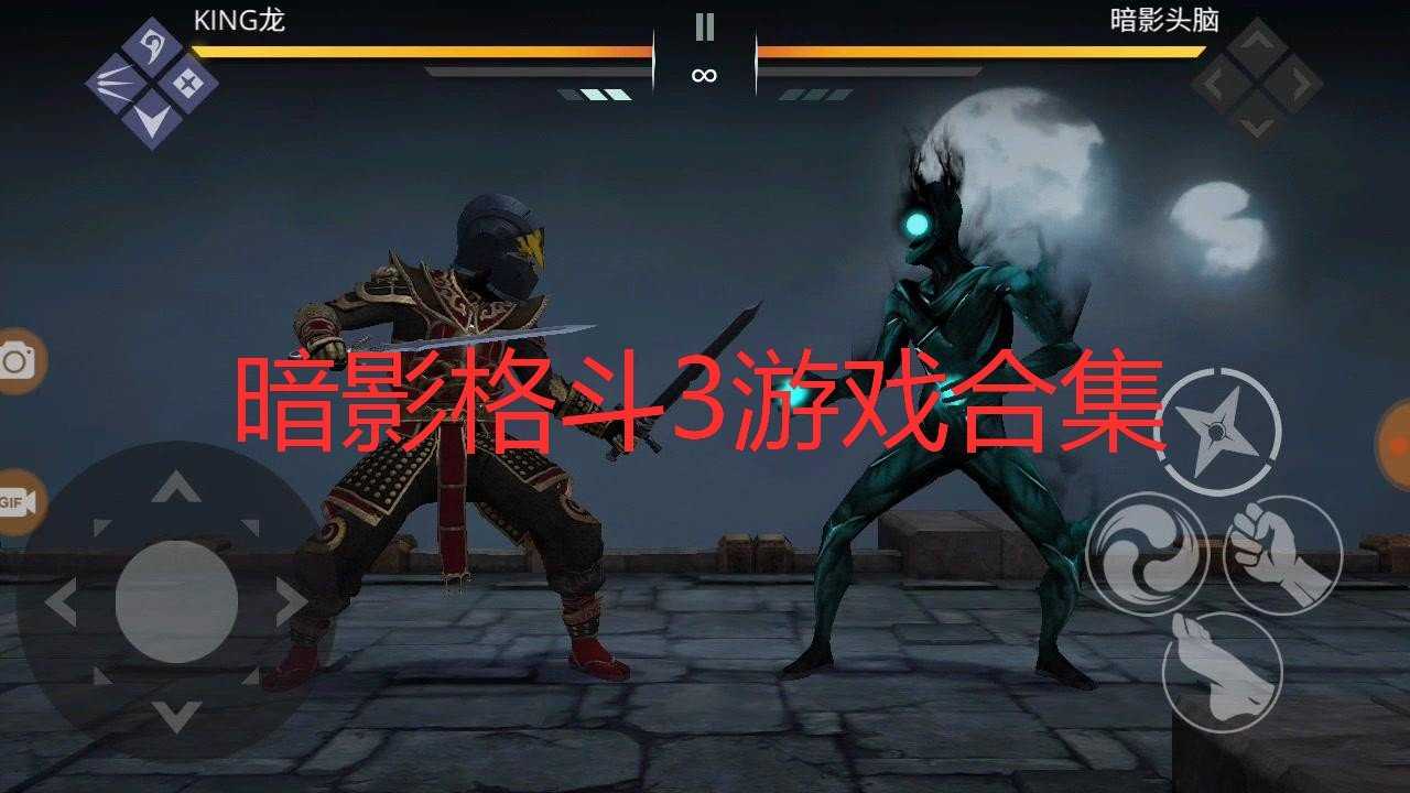 暗影格斗3