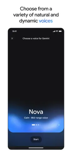 google gemini中文版