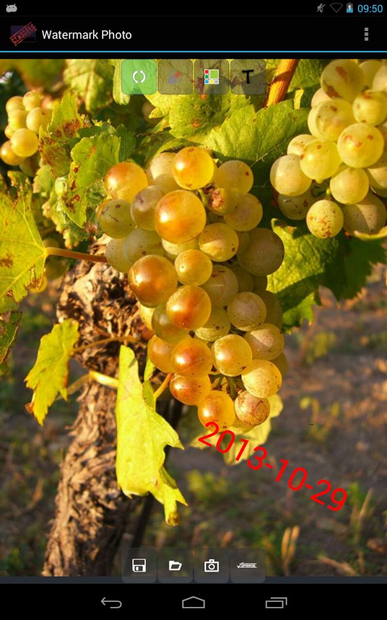 超级水印(Watermark Free)