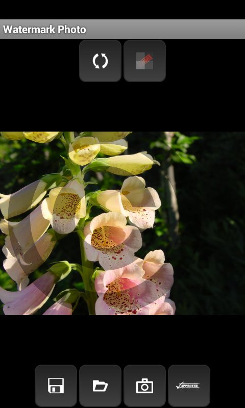 超级水印(Watermark Free)