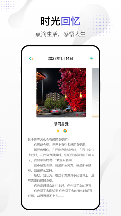 dog出游