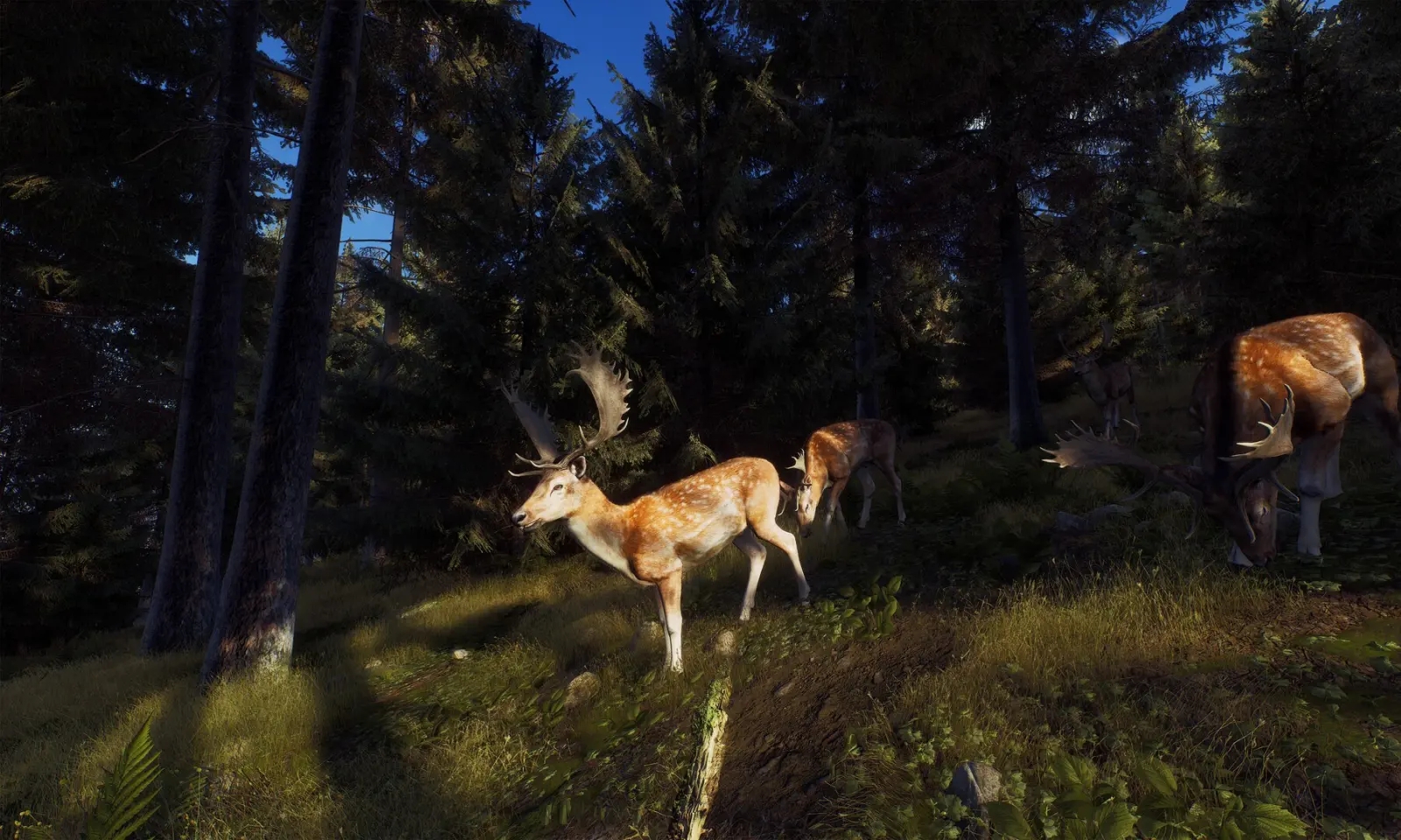 猎人之路手机版