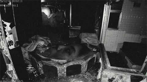 日本事故物件监视协会2手机版