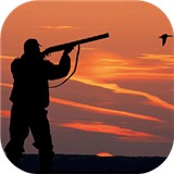 荒野狩猎达人手机版