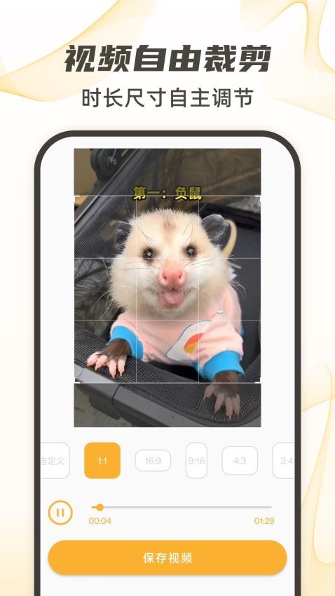 视频下载去水印最新官方