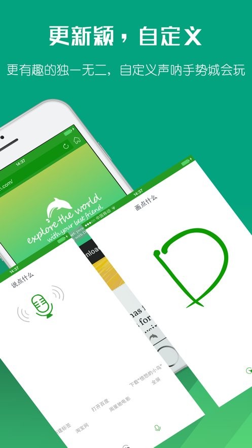 海豚浏览器Flash版