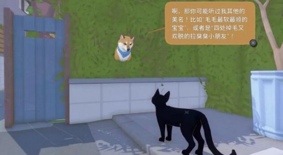 小猫咪大城市正版游戏