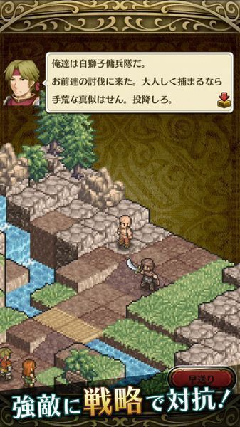 佣兵传说单机版