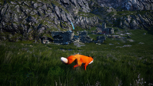 北方之魂增强版