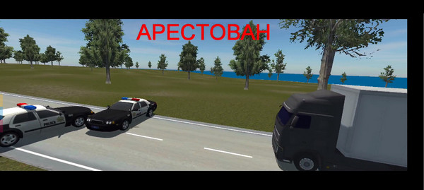 开放世界在线沙盒(Open World MMO)