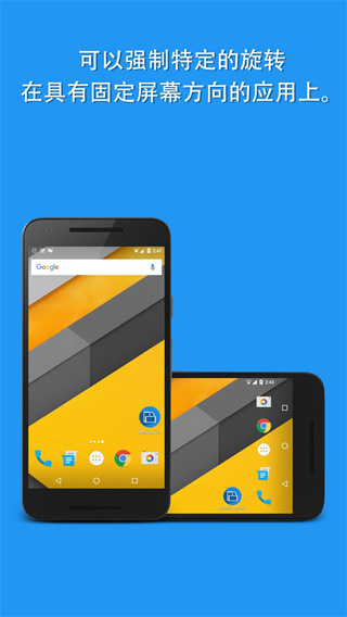 Rotation Orientation Manager Pro解锁付费版