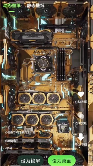 来玩壁纸秀绿色版