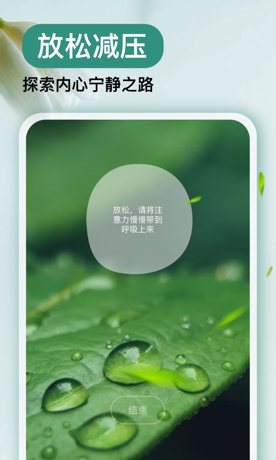 now正念冥想高级版