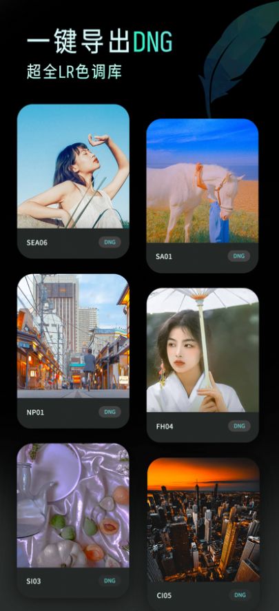 滤镜君Koloro高级版