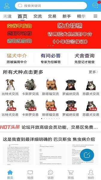猛犬俱乐部