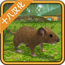 老鼠模拟器中文版(Mouse Simulator)