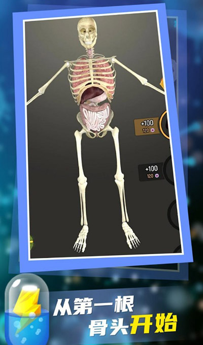 放置人类中文版(Idle Human)