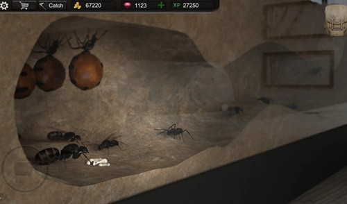 蚂蚁模拟大亨无限金币钻石版