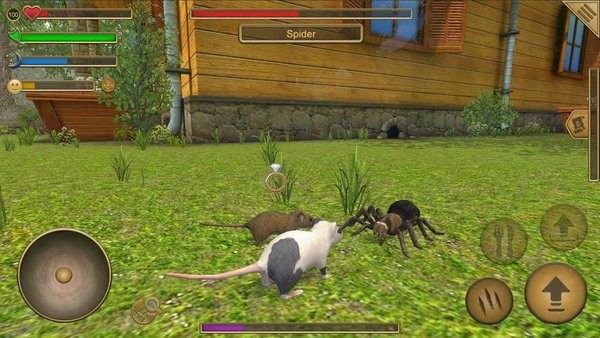 老鼠生存模拟器汉化版