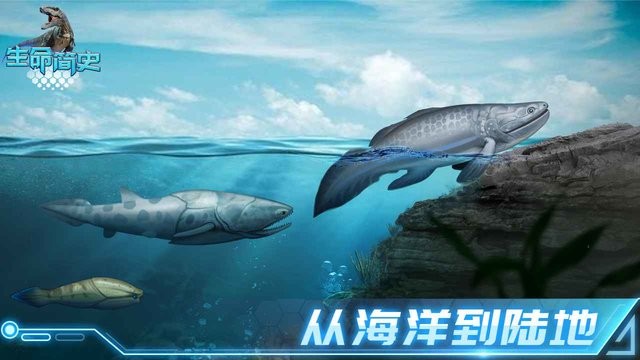 生命简史古生物放置