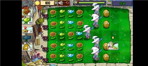 植物娘大战僵尸庄不纯无限阳光版