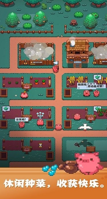 开拓猪之岛无限金币