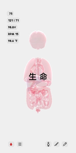 生命人体模拟器LIFE1