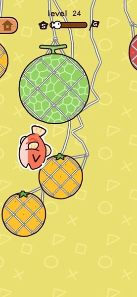 飞鱼免广告版
