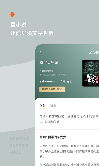 番茄小说vip无广告版