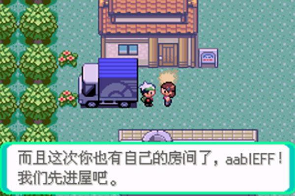 口袋妖怪极夜永昼
