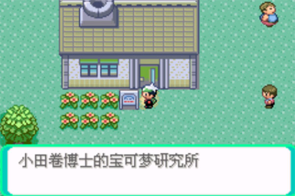 口袋妖怪极夜永昼
