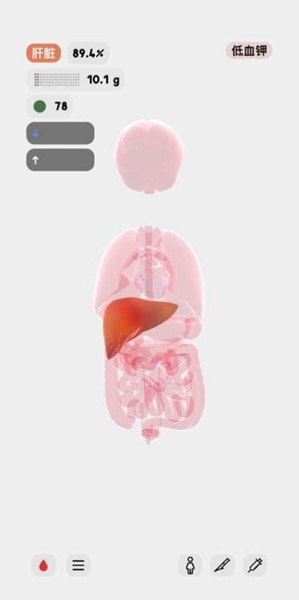生命人体模拟器life