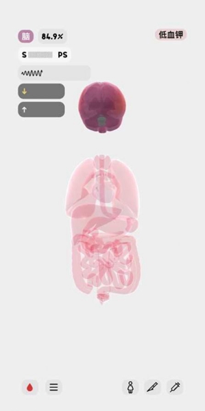 生命人体模拟器life