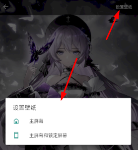 傲娇壁纸4.9版本