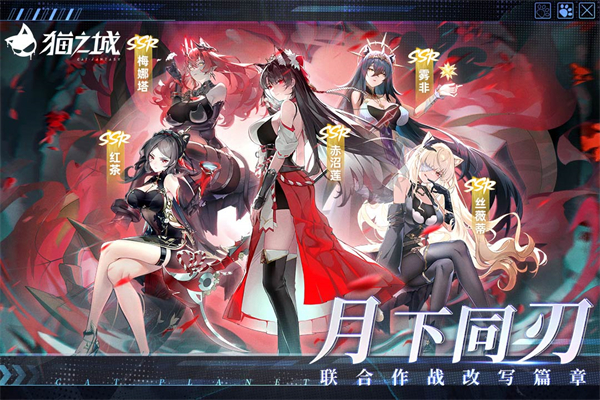 猫之城清凉版