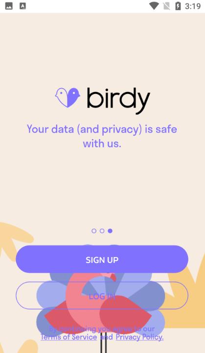 birdy软件