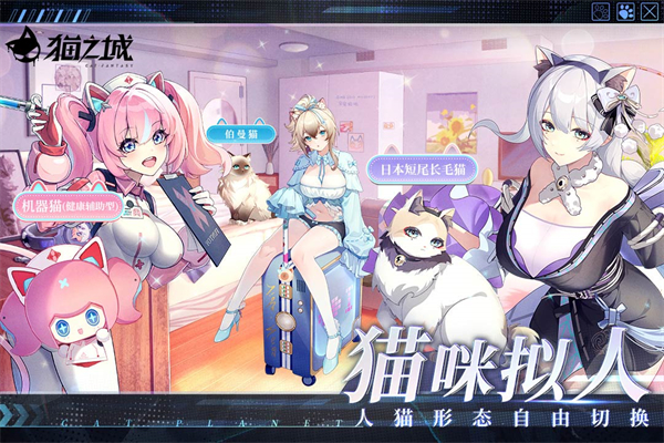 猫之城清凉版