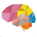 BrainWars1.0.11版