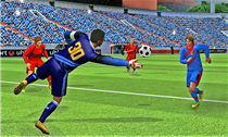Real Football 2013wp8版