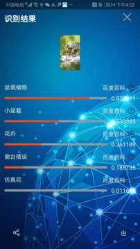 小鲸鱼app