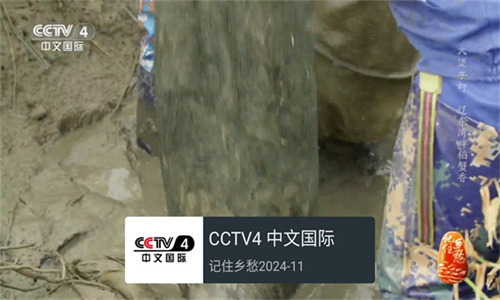 我的电视APP官方版