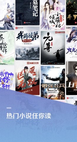 百度小说正版