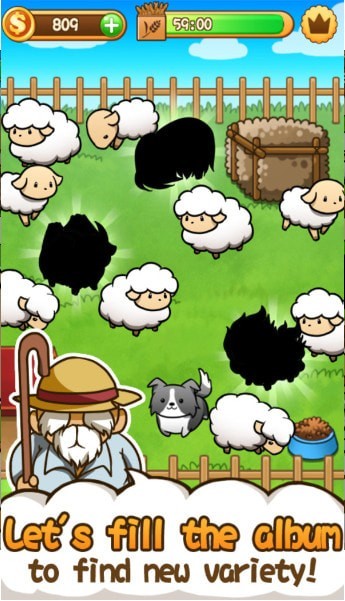 绵羊大集合APP