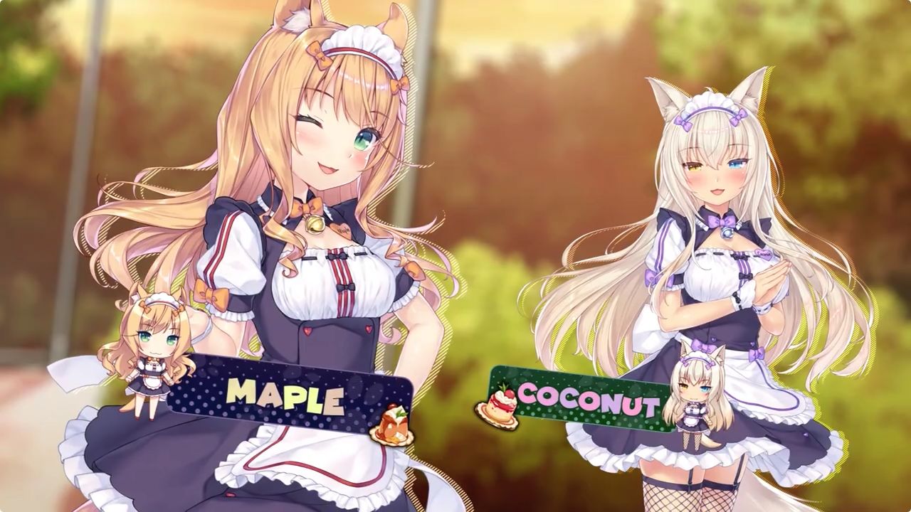 猫娘乐园来店APP