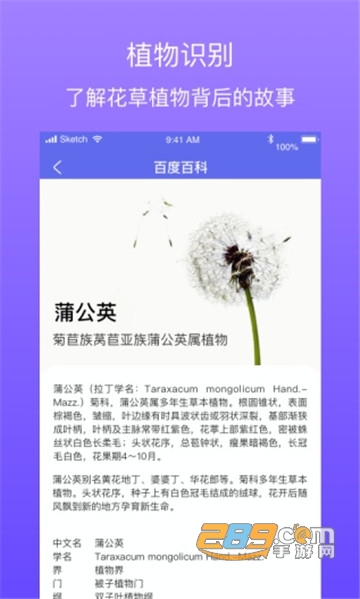 拍拍识图领现金v2.1.1官方版