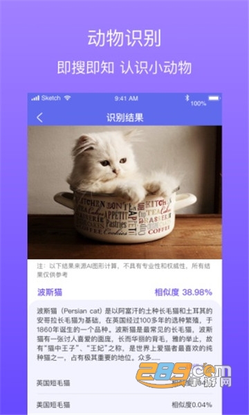 拍拍识图领现金v2.1.1官方版