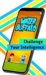 Water Buffalo
