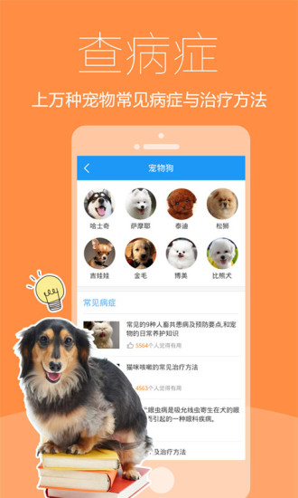 爱宠医生