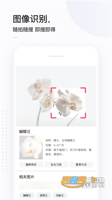 简单搜索答题赢钱2020v6.0.0.10
