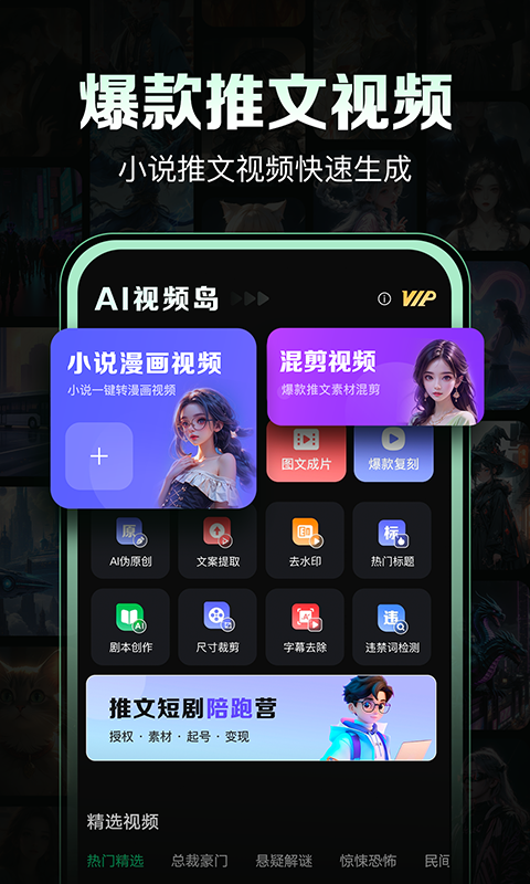 AI视频岛